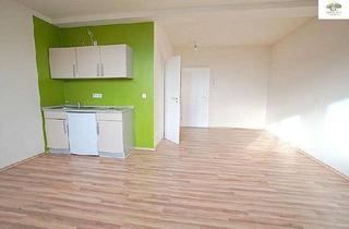 Lofts mieten in Leipziger Str. 2 A, 01097 Leipziger Vorstadt, Dach-Loft mit Badewanne und EBK!