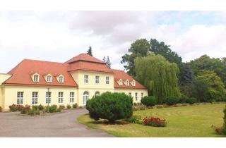 Wohnung mieten in Dorfstraße 35, 04808 Thallwitz, Herrlich grüne Umgebung im Schloss Nischwitz - 2 RW mit Terrasse und Stellplatz