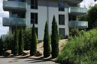 Wohnung mieten in 32760 Detmold, Moderne Wohnung in Top-Lage von Detmold-Hiddesen
