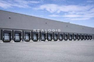 Gewerbeimmobilie mieten in 76571 Gaggenau, ca. 10.800 m² | Logistik-/Produktionshalle | Rampen | 9 m UKB