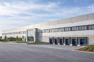 Gewerbeimmobilie mieten in 76532 Haueneberstein, ca. 10.900 m² | Lager-/Produktionshalle | 10,50 m UKB | Rampen