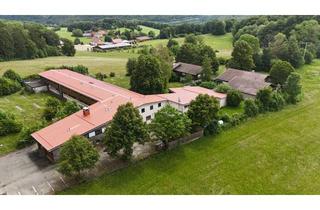 Immobilie kaufen in 73349 Wiesensteig, Jugend- / Tagungszentrum, Erholungsheim im Herzen der Natur