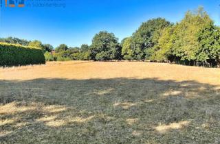 Immobilie kaufen in 49696 Molbergen, Großzügig. Besonders. Einzigartig: Baugrundstück mit fast 4.000 m² in Molbergen!