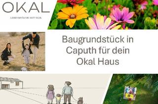Immobilie kaufen in 14548 Schwielowsee, Dein OKAL-Haus in Caputh - naturnah zwischen Wasser, Wald und Potsdam