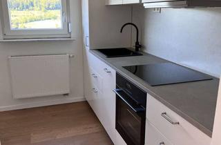 Wohnung mieten in Allmandweg 29, 72202 Nagold, Frisch renovierte 2,5-Zimmer-Wohnung in Traumlage in Nagold