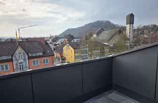 Wohnung mieten in Hauptstraße, 78239 Rielasingen-Worblingen, Moderne 2-Zimmer Dachgeschosswohnung in Rielasingen-Worblingen