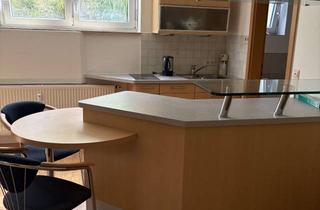 Wohnung mieten in Untere-Biefangstr. 35, 79418 Schliengen, Neu renovierte 1-Zimmer-Wohnung in Schliengen