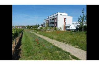 Wohnung mieten in 74348 Lauffen, Top Lage in Lauffen