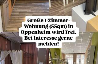 Wohnung mieten in 55276 Oppenheim, Helle, großzügige 1-Zimmer-Wohnung - ca. 55qm