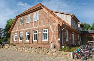 Gewerbeimmobilie mieten in Billingstraße 17, 29320 Hermannsburg, Moderne Gewerbefläche im Zentrum