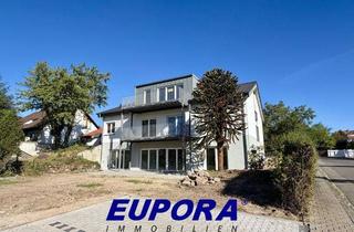 Wohnung mieten in 67292 Kirchheimbolanden, EUPORA® Immobilien: Frisch sanierte Wohnung mit Garten in Kirchheimbolanden.