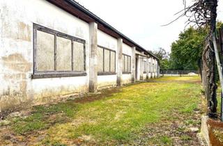 Geschäftslokal mieten in 76479 Steinmauern, Platz ohne Ende: Trockenhalle mit Außenfläche, Stellplätzen und Laderampe