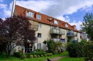 Wohnung mieten in Semmelweisstr., 01159 Friedrichstadt, Grüne Idylle mitten in Dresden-Friedrichstadt mit Terrasse und Küche