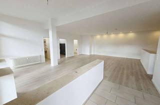 Lofts mieten in 63517 Rodenbach, Neu renovierte Loft Wohnung mit Küche, Bad und Abstellraum