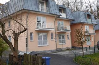 Wohnung mieten in Linzer Straße 6c, 94032 Innstadt, Zentrumsnahe, gepflegte 2-Zimmer-Wohnung mit Balkon und Terasse mit Ausblick auf Oberhaus