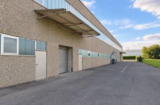 Anlageobjekt in 96242 Sonnefeld, Renditeobjekt - Lager-/ Produktionshalle mit modernisierter Bürofläche - gute Mieterstruktur - ca 8,