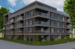 Penthouse kaufen in 54294 Trier, Penthousewohnung mit Dachgarten und Sonderabschreibung im KFW 40 QNG Energiesparhaus