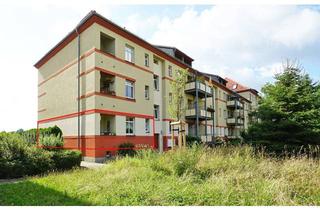 Wohnung kaufen in 01279 Tolkewitz/Seidnitz-Nord, Tolkewitz: Wohnung top – Mieter top