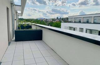Penthouse mieten in Mirabellenweg 6 b, 61381 Friedrichsdorf, Neubau, 3-ZM-Penthouse-Whng, schöner loftartiger Schnitt mit hohen Decken, begrünte Westdachterrasse