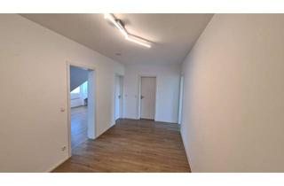 Wohnung mieten in Gimmersdorfer Straße 65, 53343 Wachtberg, Alltagstaugliche 2-Zimmer-Wohnung in Wachtberg
