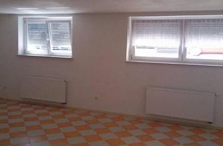 Wohnung mieten in Speyerer Str. 28, 69242 Mühlhausen, Gemütliche Kellerwohnung mit großzügigem Wohnbereich