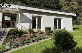 Wohnung mieten in Giesenhofstr 43b, 42579 Heiligenhaus, Erstbezug nach Sanierung mit Sonnernterrasse: ansprechende 2,5-Zimmer--Wohnung in Heiligenhaus