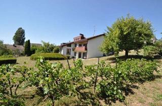 Einfamilienhaus kaufen in 78337 Öhningen, Höri: Einfamilienhaus mit ELW und großem Grundstück an schweizer Grenze - Erweiterungspotenzial