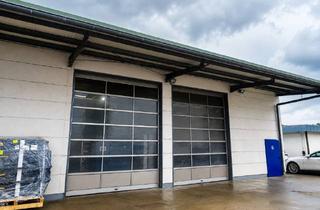 Büro zu mieten in 67071 Ruchheim, Gewerbegrundstück mit Halle, offenem Lager, Freifläche und Büro in Bestlage an A 650 - HR 4256