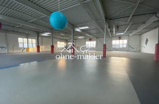 Büro zu mieten in 64401 Groß-Bieberau, Werk- und Lagerhalle, Ex-Indoorspielplatz in Südhessen abzugeben!