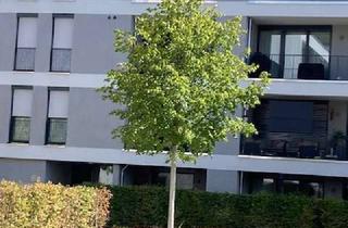 Wohnung mieten in Gundelfinger Weg, 86156 Pfersee, NEUBAU 3-Zimmerwohnung zentral an der Wertach ERSTBEZUG