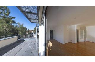 Penthouse mieten in 01309 Blasewitz, Waldpark Penthouse Dachterrasse 4,5 Zimmer Parkett