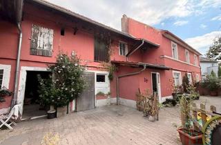 Haus kaufen in 67246 Dirmstein, Viel mehr als ein Haus – Hofanwesen mit großer Scheune in Dirmstein