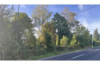 Grundstück zu kaufen in 66809 Nalbach, Großzügiges Grundstück in Nalbach / Saarland