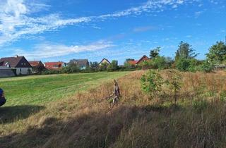 Grundstück zu kaufen in Frauenhorster Straße, 04916 Herzberg, Zu Verkaufen Hobbyhof 5000 qm oder 4 Bauplätze