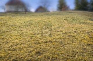 Grundstück zu kaufen in 72270 Baiersbronn, NATURNAH BAUEN IN BAIERSBRONN