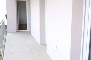 Wohnung mieten in 86937 Scheuring, Großzügige und sonnige Wohnung, Erstbezug nach Sanierung!