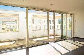 Penthouse mieten in 70192 Nord, Killesberghöhe: Penthouse-Traum mit Direkt-Lift, 2 Dachterrassen, Küche, Parkblick, 2 priv.TG-Plätze