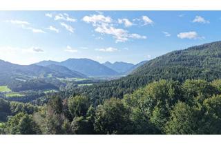 Haus kaufen in 83313 Siegsdorf, Einzigartige Gelegenheit - Hof in Panorama-Alleinlage mit saniertem Nebengebäude - 48.000qm Grund