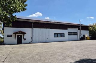 Büro zu mieten in Lorenz-Huber-Straße 13, 85540 Haar, Lager-/Produktionshalle mit Büro- und Freifläche