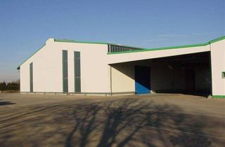 Büro zu mieten in 50171 Kerpen, 1500m² Lagerfläche in gedämmter Lagerhalle-mit Rampe und Büro zu vermieten. Bewirtschaftung möglich.