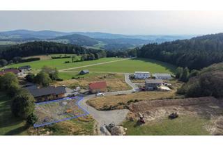 Grundstück zu kaufen in Sonnenhang 20, 94143 Grainet, Baugrund Südhang mit Weitblick über den Bayerischen Wald bis zu den Alpen