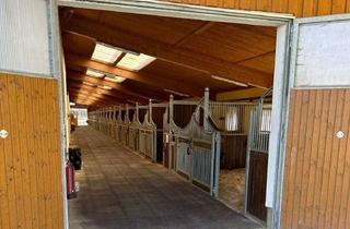 Immobilie kaufen in 95447 Saas, Exklusive Reitsportanlage idyllischer Alleinlage