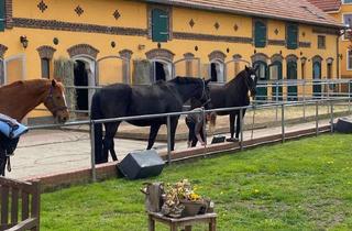 Immobilie kaufen in Dorfaue Saalow 13, 15838 Am Mellensee, Einzigartige Reitanlage im Berliner Speckgürtel – 93 Stallplätze, 40 ha, Wohnhaus & PV-Anlage