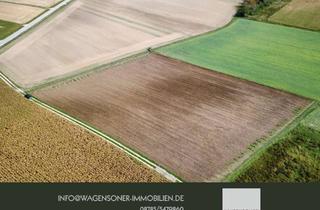 Gewerbeimmobilie kaufen in Zaitzkofen, 84069 Schierling, Landwirtschaftliche Fläche nahe Schierling
