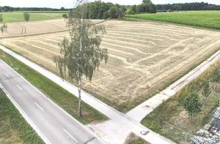 Gewerbeimmobilie kaufen in 86519 Wiesenbach, *** Platz für Ihr Gewerbe in Wiesenbach ***