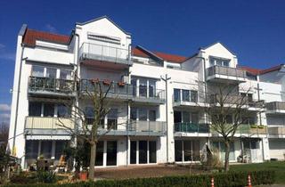 Wohnung kaufen in Zur Lindenhöhe 47, 04158 Leipzig, Neuer Preis ! Top 2-Raum-Whn. in ruhiger und grüner Lage + gr. Südterrasse m. Gartennutzung + EBK, inkl. TG-Stellpl. im schönen Leipzig-Lindenthal ***
