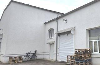 Geschäftslokal mieten in Riesaer Strasse, 04319 Leipzig, ! Hallenfläche + Freifläche in ruhiger in Autobahnnähe/ am Paunsdorf-Center in Leipzig, inkl. Kaltnebenkosten !