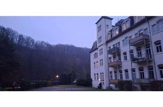 Wohnung mieten in Lockwitzgrund 100, 01257 Lockwitz, Dachgeschosswohnung im Grünen am Rande von Dresden