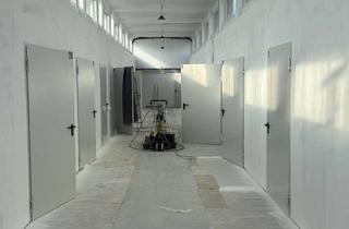 Gewerbeimmobilie mieten in Hixholzer Weg 18, 42551 Velbert, NEUERÖFFNUNG 18qm Lagerraum / Storage (Pauschalpreis, sicher, sauber, unkompliziert)