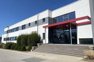 Gewerbeimmobilie kaufen in Industriepark 105, 74706 Osterburken, Moderne Produktions- und Unternehmensimmobilie mit Krananlagen und Erweiterungspotenzial